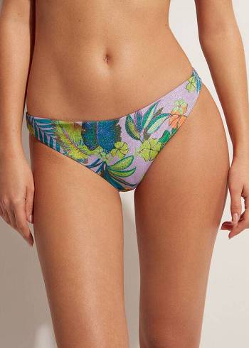 Dół Bikini Damskie Calzedonia Brasilia Fioletowe | PL1304UT