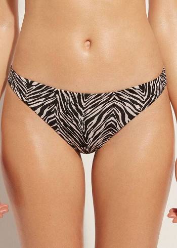 Dół Bikini Damskie Calzedonia Zebra Nairobi Czarne | PL1661MA